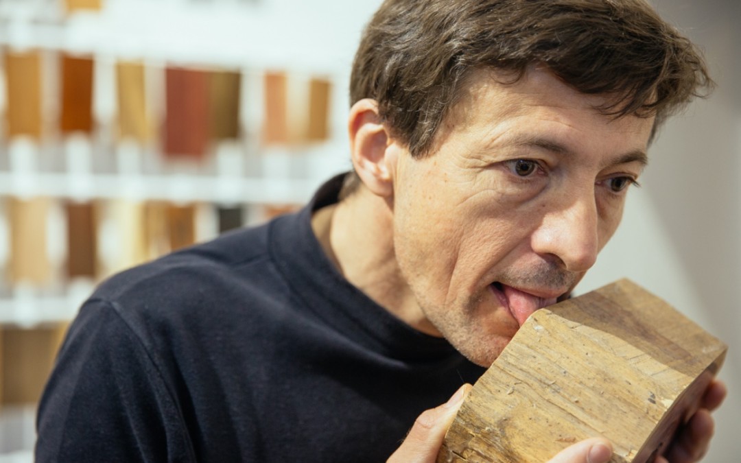 Slow Wood – Assaggiare il legno è cosa buona e giusta