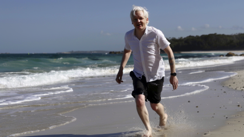 assange libero